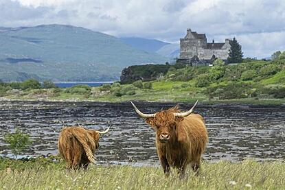 Mull, UK